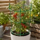 Modular Ring Plant Support, 3 Tiers, Green