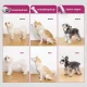 Pet Grooming Kit with Vacuum PetKit AirClipper 5-in-1
