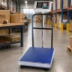 Electronic Platform Scale 50x40 cm, 300 kg, Silver/Blue