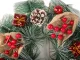 Christmas Wreath with Decorations, 30 cm