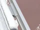 2-in-1 Telescopic Window and Floor Squeegee with Microfiber