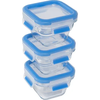 EMSA Clip & Close Glass Food Storage Containers, 3 pcs, 0.18 L