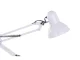 Adjustable Desk Lamp, White