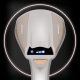 Berdsen BD-300 Handheld Garment Steamer 2000W