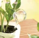 Watering Globe Irrigation Balls for Watering Flowers and Plants, 8 pcs.