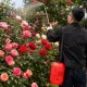 Garden Pressure Sprayer with Long Lance and Strap 5L, Orange