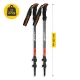 Trekking and Nordic Walking Poles PEAK+ MOUNTAIN GOAT, Orange