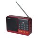 Portable Bluetooth Speaker with FM Radio Setty SFM-01M