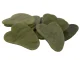 Jade Gua Sha Massage Stone for Face and Body