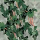 TENAX Flora Vegetable Support Net, 1.5 x 10 m, Green