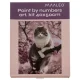 Maaleo Paint by Numbers 40x50 cm, Kitten