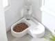 2-in-1 Double Bowl for Dogs and Cats with 500 ml Water Dispenser