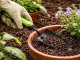 DIVO Garden Tool Set with Bag, Pruning Shears, Trowel, Hoe, Black-Green
