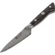 ZWILLING TANREI 10 cm Larding and Garnishing Knife, Brown / Silver