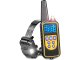 Electric Dog Training Collar with Remote 800m, Black
