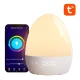 Gosund LB2S Tuya WiFi RGBW Smart Night Light