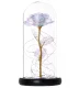 Eternal Rose in Glass with LED, White
