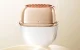 Lifting Facial Massager ANLAN 01-ADRY51-02A EMS & LED