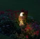 LED Solar Garden Light Eagle, 45 cm