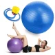 Blue Gymnastic and Rehabilitation Ball with Pump 65cm