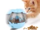 Interactive Dog Toy - Treat Dispenser Ball, Blue