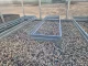 Raised Garden Bed Klasika Garden 1500x500x100mm, Zinc