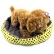 Pet Bed Sofa Mattress Mat Cushion Nest Sleeping Place for Cat Dog - 35x37cm, Yellow