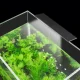 LED Aquarium Light 5W
