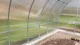 Greenhouse KLASIKA TUBE 3x8m (24m2) with Foundation and 4mm Polycarbonate