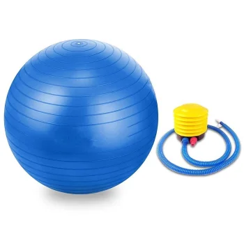 Blue Gymnastic and Rehabilitation Ball with Pump 65cm