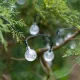 Solar Garden Lights Balls Garland 7m 50LED, Cold White