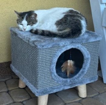 Cat House with Sisal Scratching Post and Plush Toy, Beige