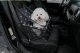 Petsi ME11 Car Seat Pet Carrier for Dogs and Cats, Black