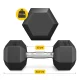 Steel Dumbbell 4FIZJO HEX 12.5 kg, Black