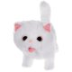 Interactive White Cat