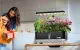 RainPoint Hydroponic Growing Kit