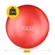 Small Exercise Ball for Pilates and Rehabilitation 22 cm, Red