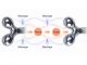 3D Rotary Face and Body Massager, Firming
