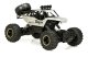 RC Rock Crawler 1:12 4WD Metal Remote Control Car, Silver