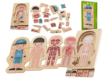 Wooden educational puzzle "Montessori" anatomy, studying the parts of the body, boy