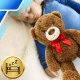 Large Teddy Bear 50 cm Soft Plush Toy for Kids, Brown