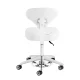 Cosmetic Stool Azzurro 156-F Bump-Up, Snow White