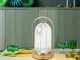 Touch Control LED Table Night Light, 3 Light Modes