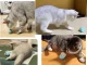 Interactive Pet Toy, LED Ball for Cats & Dogs, USB Rechargeable