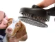 Self Cleaning Slicker Brush for Dogs and Cats for Shedding and Grooming, black