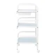Beauty Salon Trolley ACTIVESHOP Basic 121 White