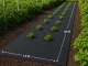 Thick Black Weed Control Fabric 50g/m² 1x20m