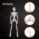 Ruhhy 40cm Posable Skeleton for Halloween, White
