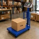 Electronic Platform Scale with Backrest, 100kg, LCD, Blue