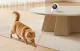 Automatic Cat Laser Toy Rojeco RWJDZ-02 1000mAh